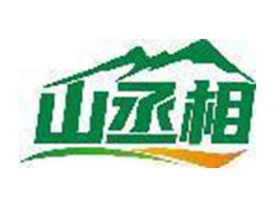 山丞相