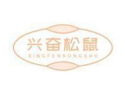 兴奋松鼠