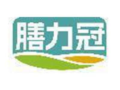 膳力冠