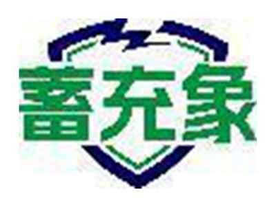 蓄充象