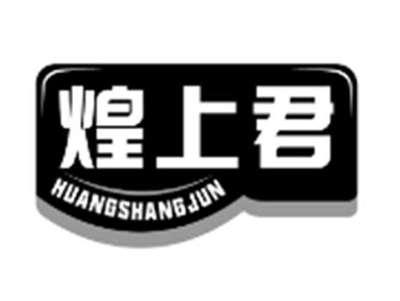 煌上君