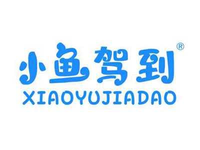 小鱼驾到