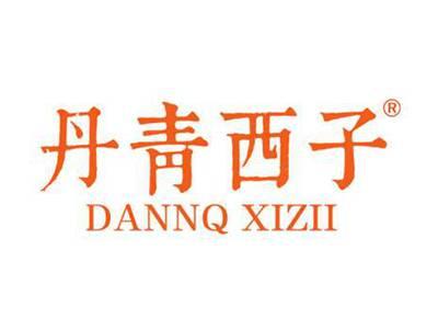 丹青西子 DANNQ XIZII