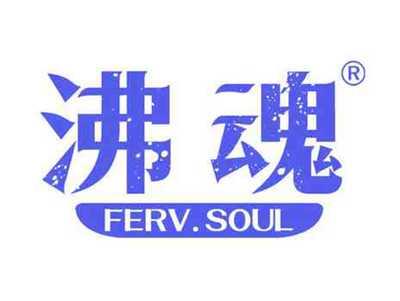 沸魂 FERV.SOUL