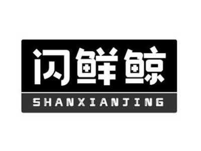 闪鲜鲸