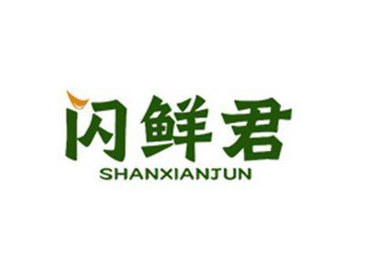 闪鲜君