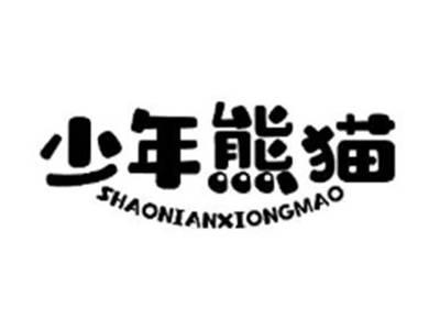 少年熊猫