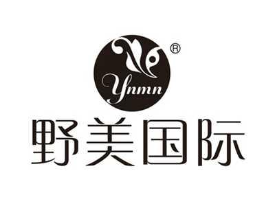 野美国际