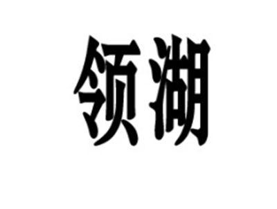 领湖