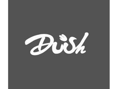 DUSH+图形