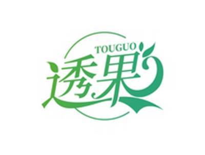 透果TOUGUO