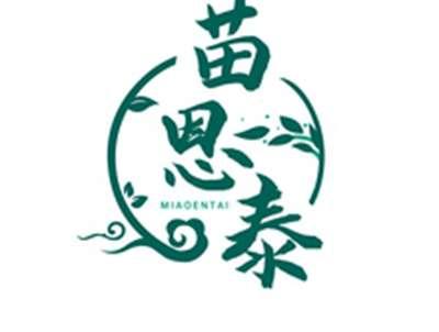 苗恩泰MIAOENTAI