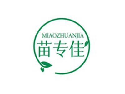 苗专佳MIAOZHUANJIA