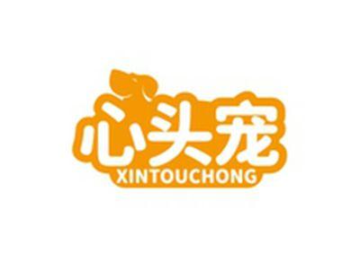 心头宠XINTOUCHONG