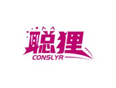 聪狸CONSLYR