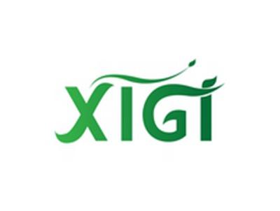 XIGI