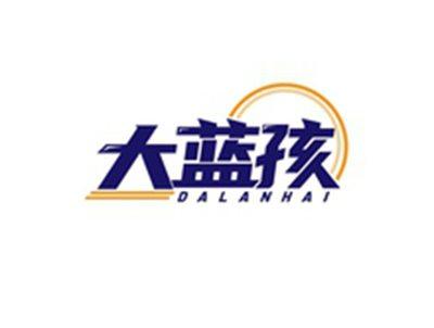 大蓝孩DALANHAI
