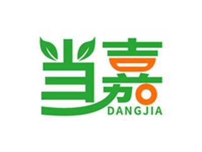 当嘉DANGJIA