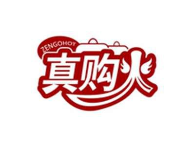 真购火ZENGOHOT