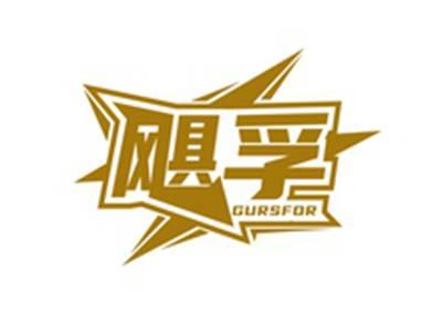 飓孚GURSFOR