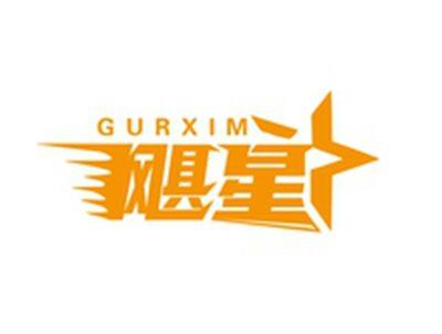 飓星GURXIM