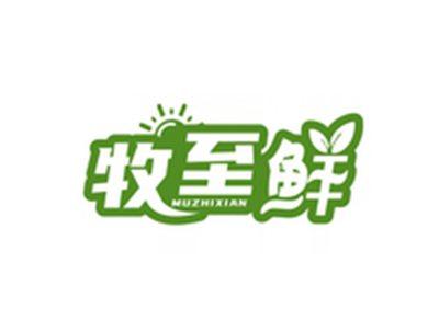 牧至鲜MUZHIXIAN