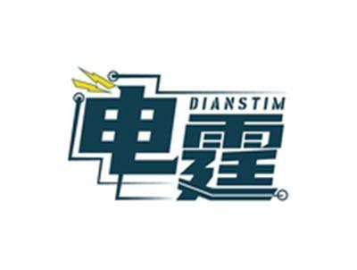 电霆DIANSTIM