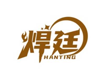 焊廷HANTING