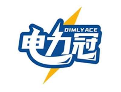 电力冠DIMLYACE