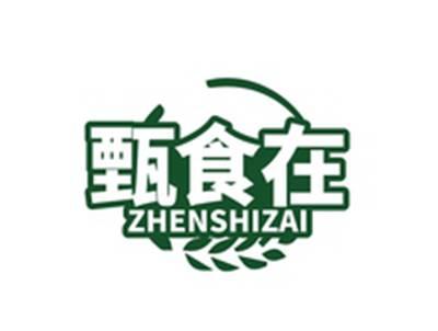 甄食在ZHENSHIZAI