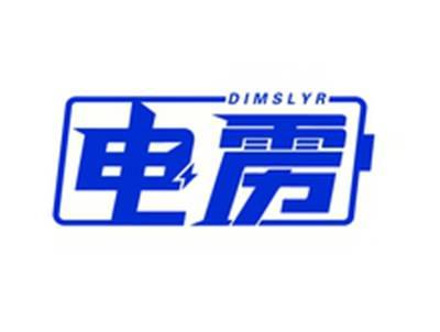 电雳DIMSLYR