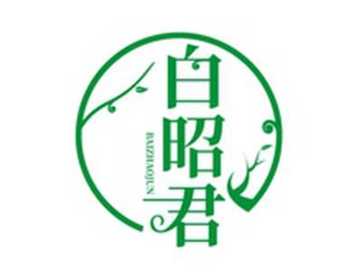 白昭君BAIZHAOJUN