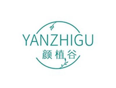 颜植谷YANZHIGU