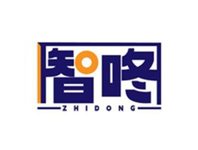 智咚ZHIDONG