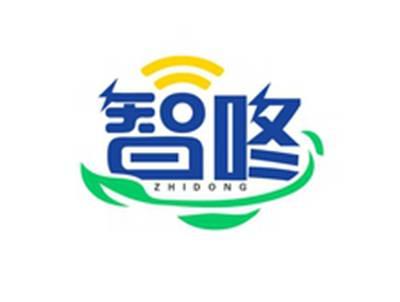 智咚ZHIDONG
