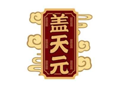 盖天元