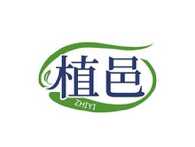 植邑ZHIYI