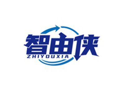 智由侠ZHIYOUXIA
