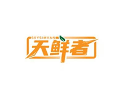 天鲜者SKYSIMVAN