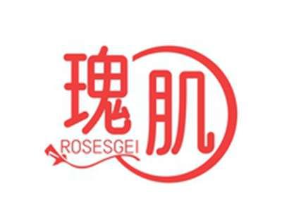 瑰肌ROSESGEI