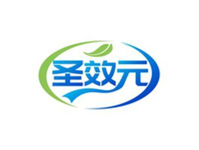 圣效元