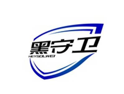 黑守卫HEYSOLWEI