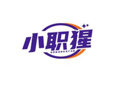 小职猩SOWORKSTAR