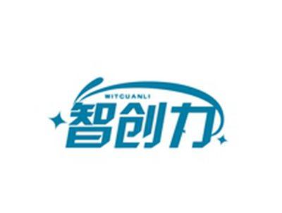 智创力WITCUANLI