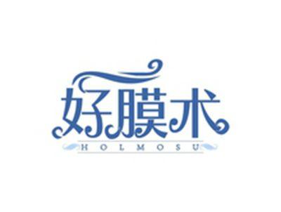 好膜术HOLMOSU