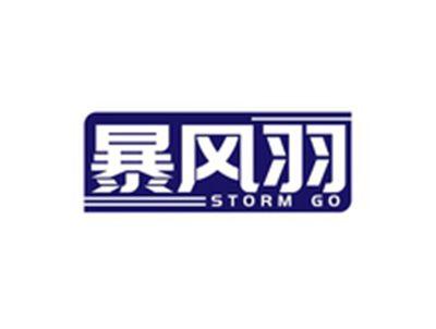 暴风羽STORMGO