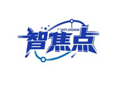 智焦点WITJODAM