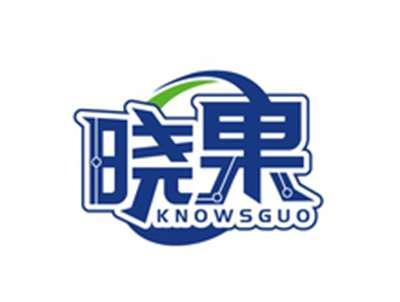 晓果KNOWSGUO