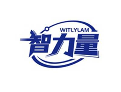 智力量WITLYLAM