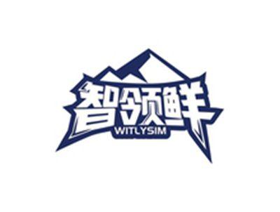 智领鲜WITLYSIM